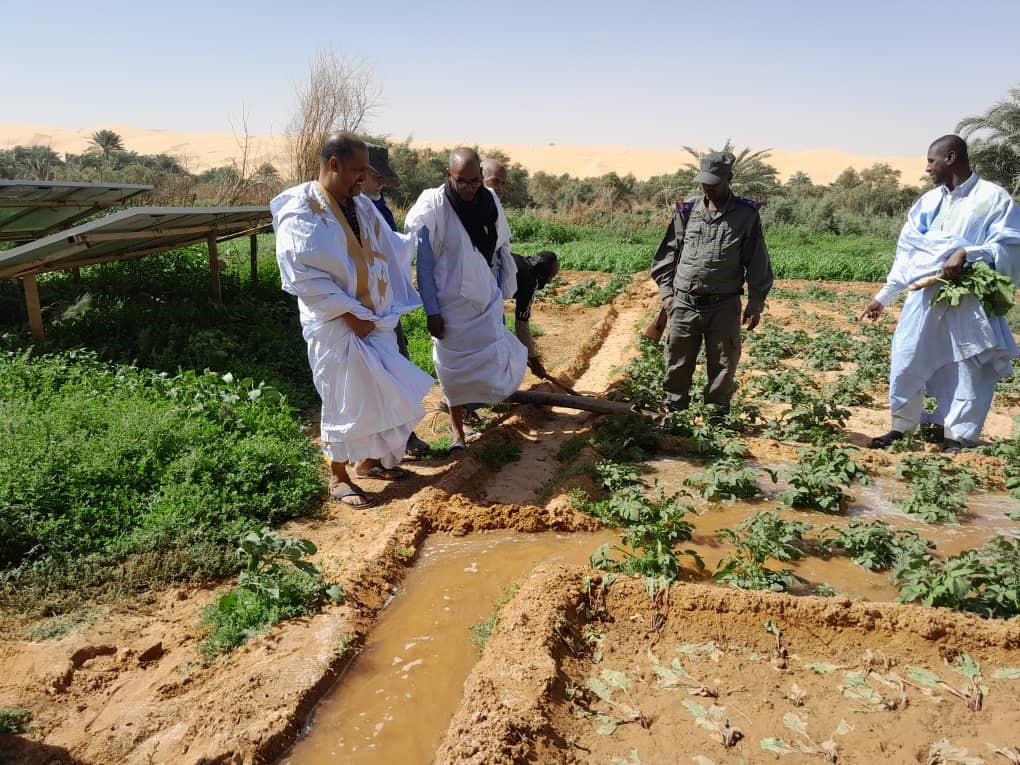 Irrigation des jradins Maaden 