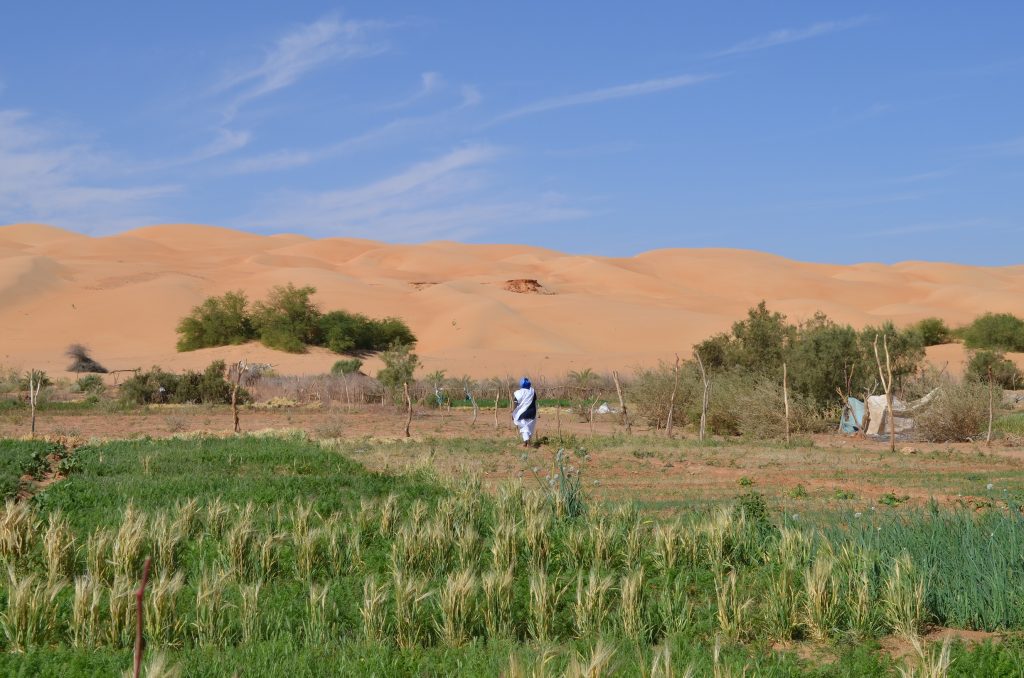 Dune et jardins Maaden 