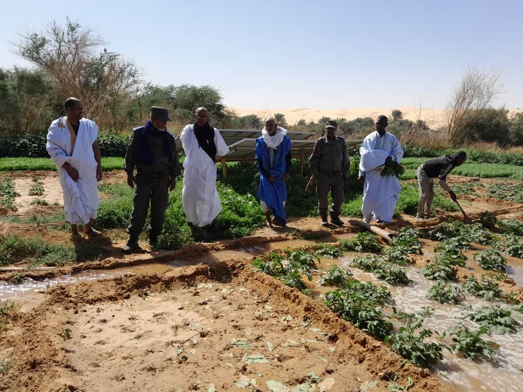 Maaden - Mauritanie 