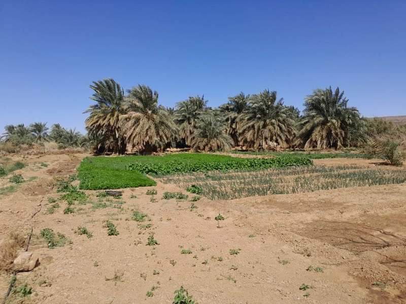 Mauritanie 