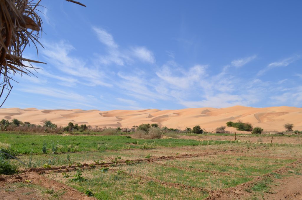 Entre dune et oasis Maaden Mauritanie