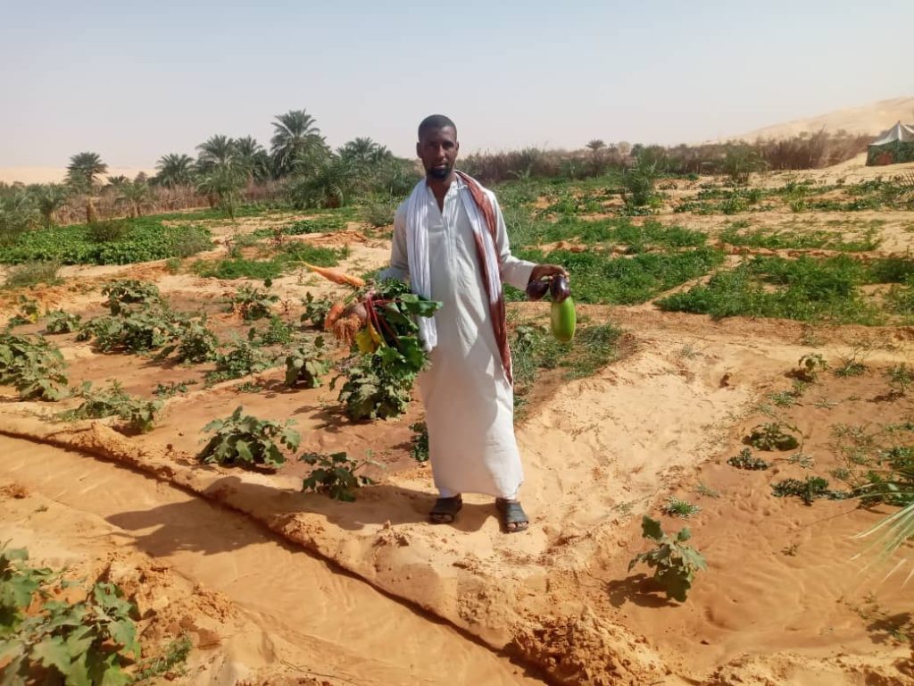 Mauritanie - Maaden 