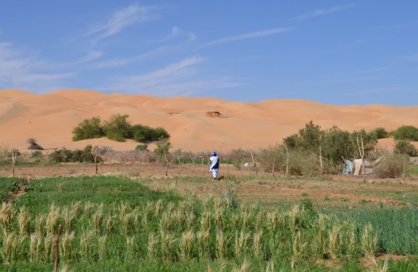 Transition écologique du village de Maaden – Mauritanie
